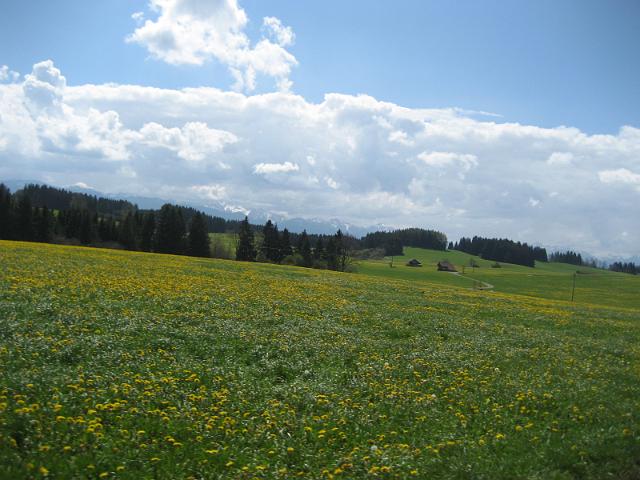 140423-125100.jpg