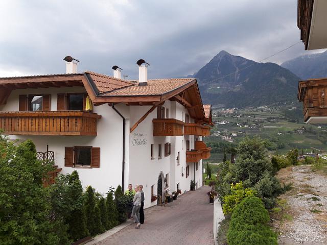 184.jpg